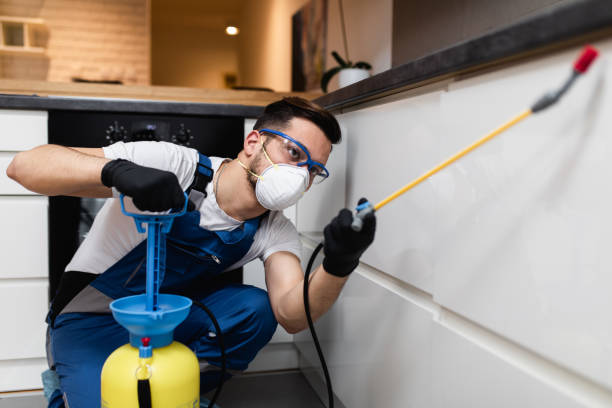 Best Emergency Pest Control  in Alexandria Bay, NY