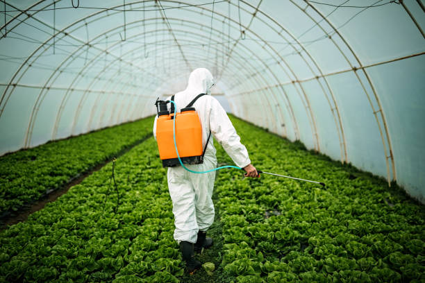 Best Affordable Pest Control Services  in Alexandria Bay, NY