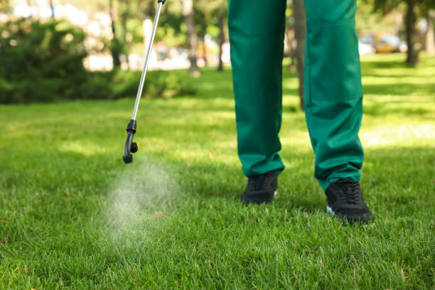 Professional Pest Control in Alexandria Bay, NY