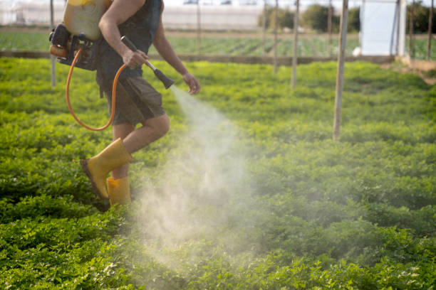 Best Affordable Pest Control Services  in Alexandria Bay, NY