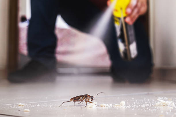 Alexandria Bay, NY Pest Control Company